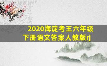 2020海淀考王六年级下册语文答案人教版rj