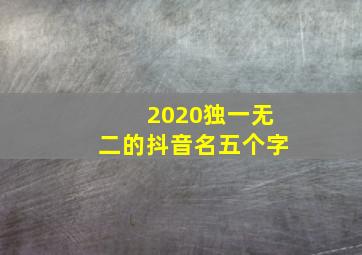 2020独一无二的抖音名五个字