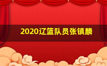 2020辽篮队员张镇麟