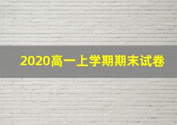 2020高一上学期期末试卷