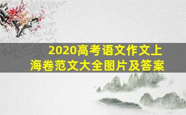 2020高考语文作文上海卷范文大全图片及答案