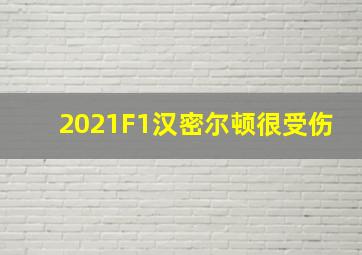 2021F1汉密尔顿很受伤