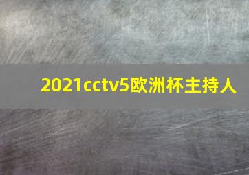 2021cctv5欧洲杯主持人