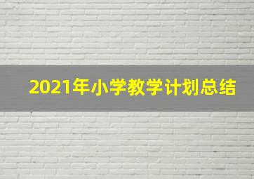 2021年小学教学计划总结