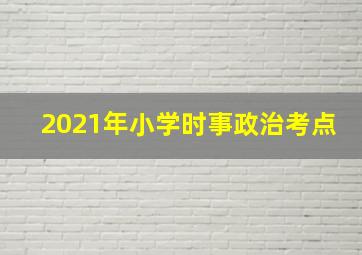 2021年小学时事政治考点