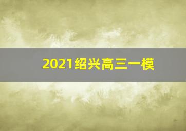 2021绍兴高三一模