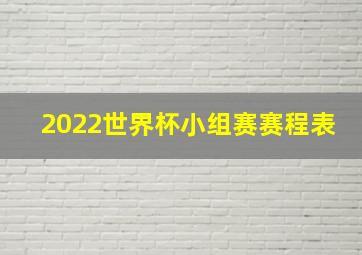 2022世界杯小组赛赛程表