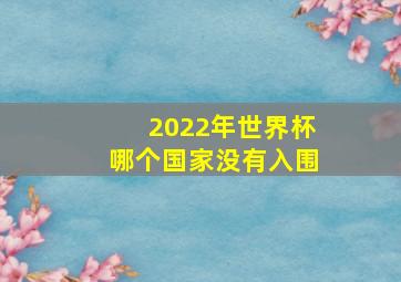 2022年世界杯哪个国家没有入围