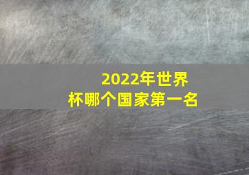 2022年世界杯哪个国家第一名