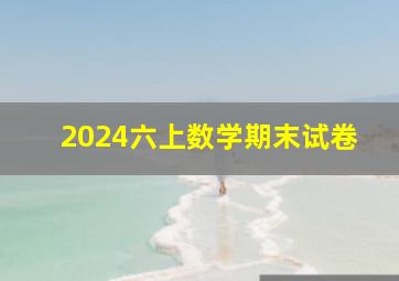 2024六上数学期末试卷