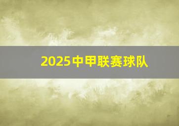 2025中甲联赛球队