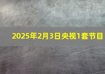 2025年2月3日央视1套节目