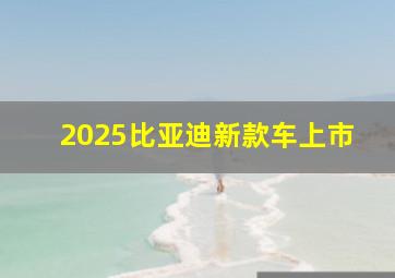 2025比亚迪新款车上市