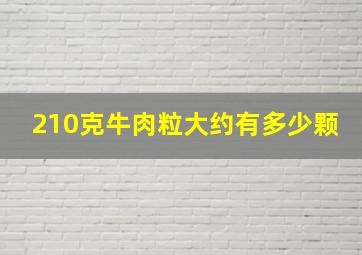 210克牛肉粒大约有多少颗