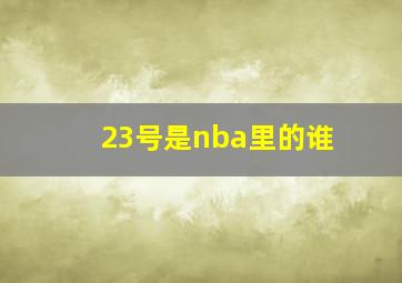 23号是nba里的谁