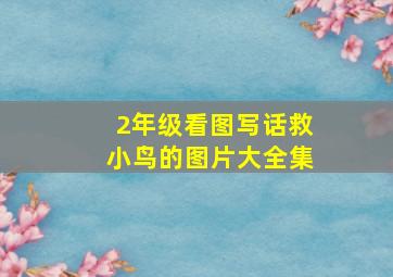 2年级看图写话救小鸟的图片大全集