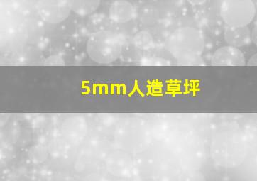 5mm人造草坪