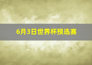 6月3日世界杯预选赛