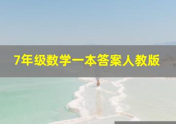 7年级数学一本答案人教版