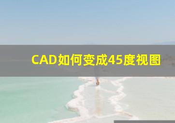 CAD如何变成45度视图