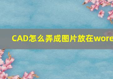 CAD怎么弄成图片放在wored