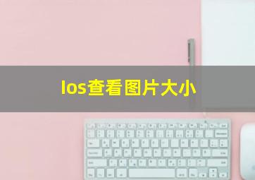 Ios查看图片大小