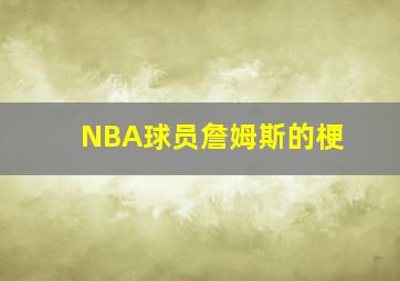 NBA球员詹姆斯的梗