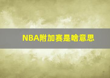 NBA附加赛是啥意思