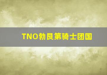 TNO勃艮第骑士团国