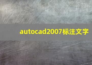 autocad2007标注文字