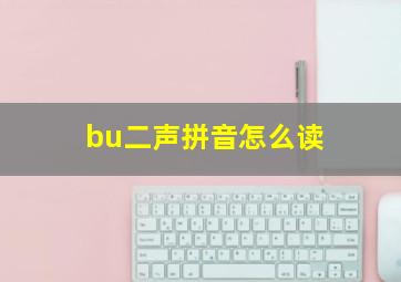 bu二声拼音怎么读