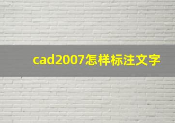 cad2007怎样标注文字