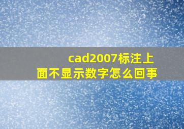 cad2007标注上面不显示数字怎么回事