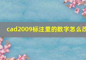 cad2009标注里的数字怎么改