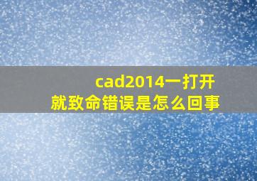 cad2014一打开就致命错误是怎么回事