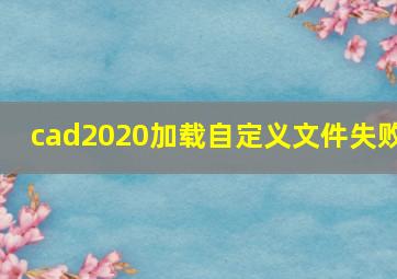 cad2020加载自定义文件失败