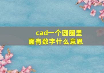 cad一个圆圈里面有数字什么意思