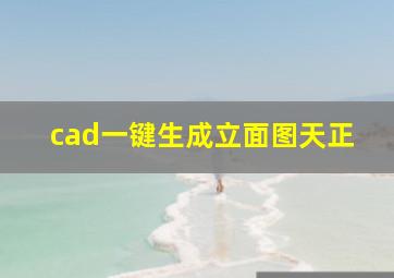 cad一键生成立面图天正