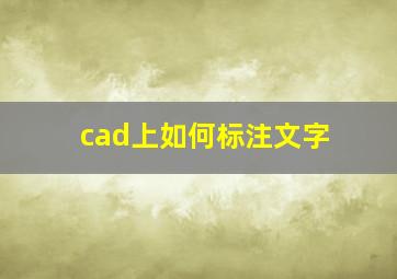 cad上如何标注文字