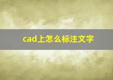 cad上怎么标注文字