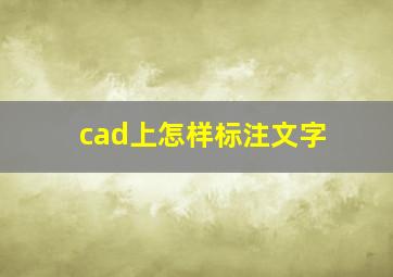 cad上怎样标注文字