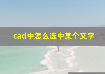 cad中怎么选中某个文字