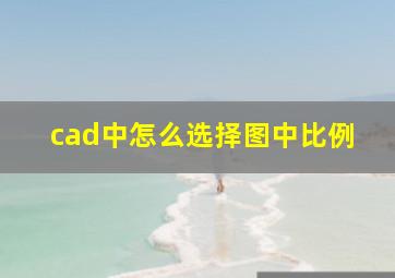 cad中怎么选择图中比例