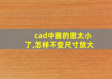 cad中画的图太小了,怎样不变尺寸放大