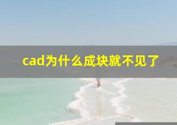 cad为什么成块就不见了