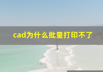 cad为什么批量打印不了