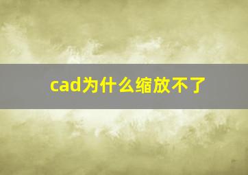 cad为什么缩放不了