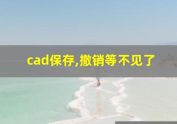 cad保存,撤销等不见了