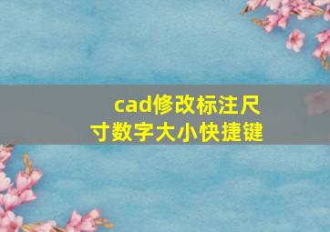 cad修改标注尺寸数字大小快捷键