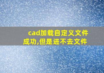 cad加载自定义文件成功,但是进不去文件